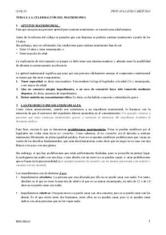 TEMA-3-CIVIL-IV.pdf