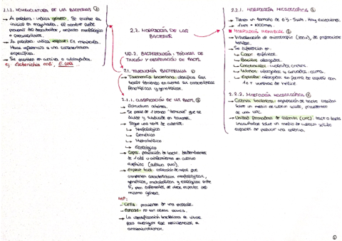 T2-bacteriologia.pdf