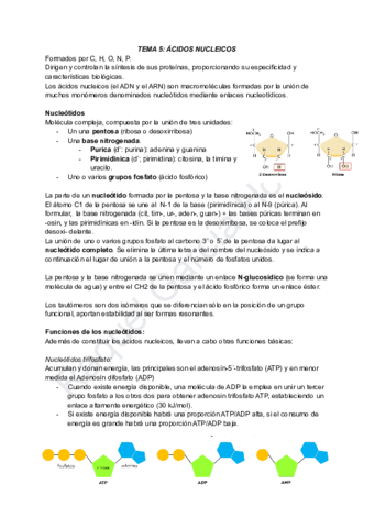 TEMA-5-ACIDOS-NUCLEICOS.pdf