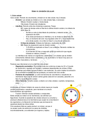 TEMA-10-DIVISION-CELULAR.pdf