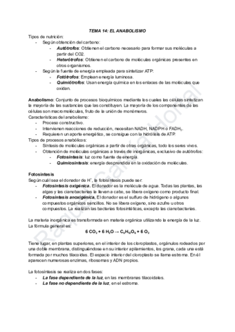 TEMA-14-EL-ANABOLISMO.pdf