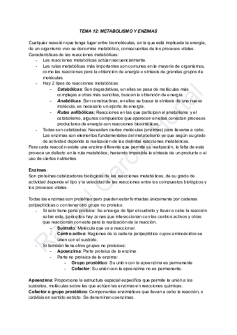 TEMA-12-METABOLISMO-Y-ENZIMAS.pdf