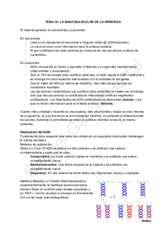 TEMA-16-BASE-MOLECULAR-DE-LA-HERENCIA.pdf