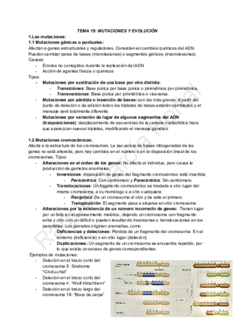 TEMA-19-MUTACIONES-Y-EVOLUCION-.pdf
