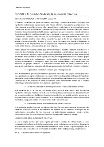 DERECHO-SINDICAL-.pdf