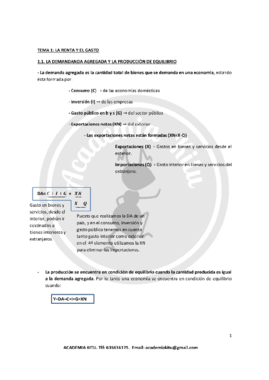 TEMA 1.pdf