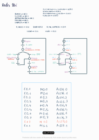 Petri.pdf