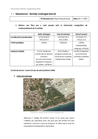 CDS-Questionari-Llo-Garraf.pdf
