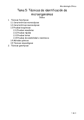 Tema-5-Micro-Resu.pdf