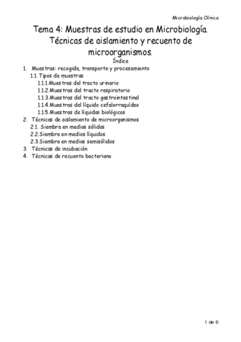 Tema-4-Micro-Resu.pdf