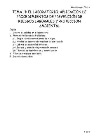 Tema-11-micro-resu.pdf
