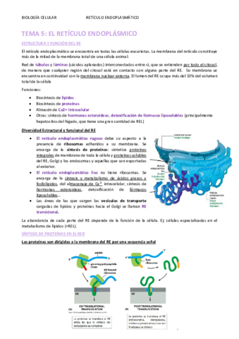 TEMA-5.pdf