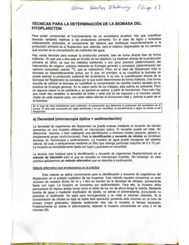 Produccion-Primaria-Fygea.pdf