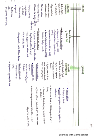 ESQUEMAS-DE-HISTORIA-TEMAS-9-12.pdf