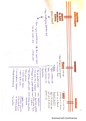 ESQUEMAS-DE-HISTORIA-TEMAS-1-3.pdf