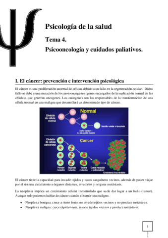 T04-Salud.pdf