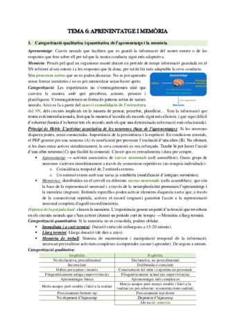 Temes-6-al-10.pdf