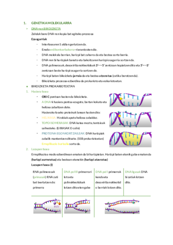 GENETIKA-MOLEKULARRA.pdf