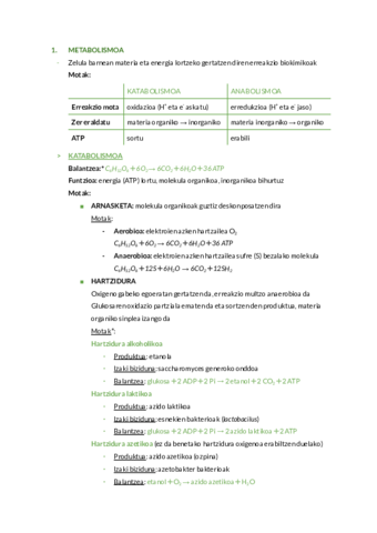 METABOLISMO-ZELULARRA.pdf