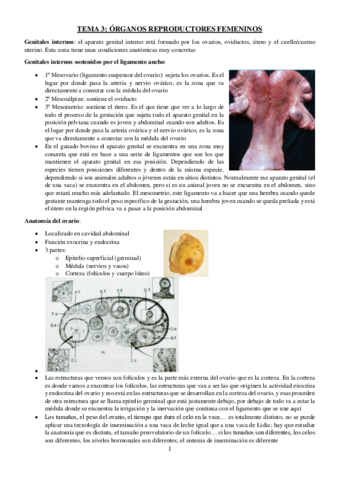 TEMA-3-REPRO.pdf