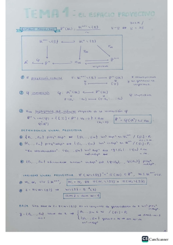 resumen-tema-1-lineal-2.pdf