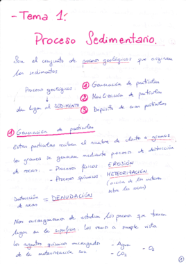 Tema 1 Proceso Sedimentario.pdf