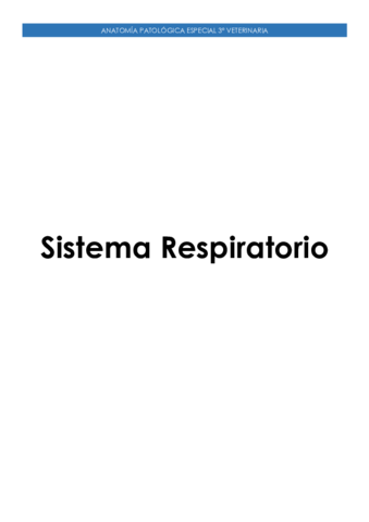 Sistema-Respiratorio.pdf