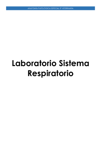 Laboratorio-Sistema-Respiratorio.pdf