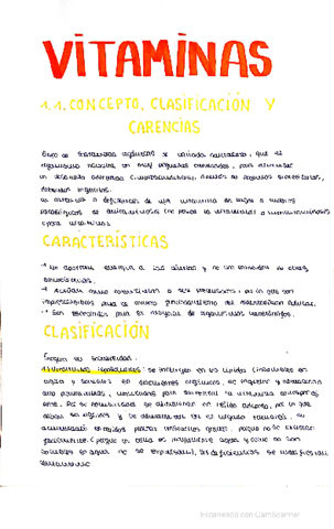 Resumenes-Vitaminas-y-Acidos-Nucleicos.pdf