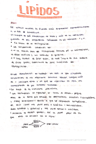 Actividades-selectividad-Glucidos-y-Lipi.pdf