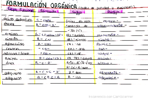 Formulacion.pdf