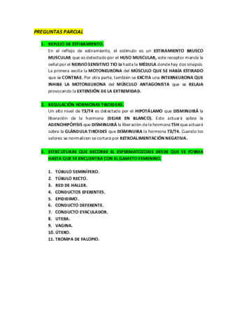 Parcial.pdf