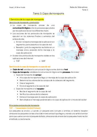Tema-3-Capa-de-Transporte.pdf