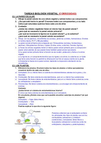 TAREAS-B-VEGETAL-21-22-CORREGIDAS.pdf