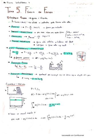Tema-5FisicaFluids.pdf