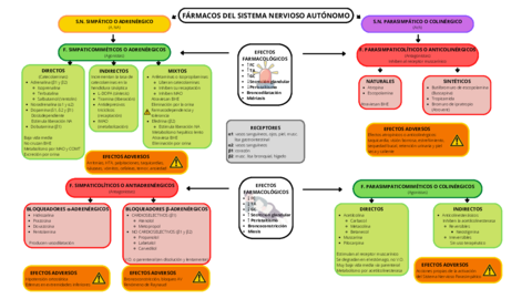 ESQUEMA Fármacos del SNA