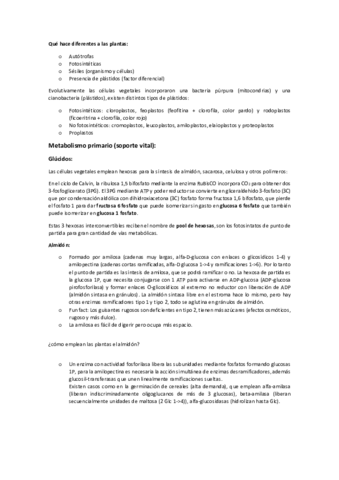 Apuntes-1a-Parte-Ismael.pdf