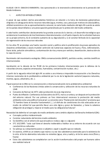 Dcho-ambiental-Epigrafe-1.pdf