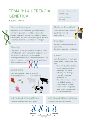 Tema-3-LA-HERENCIA-GENETICA.pdf