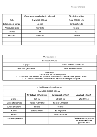 Gizarteria-arkaikoa.pdf