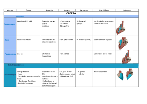 Tabla-miologia-cadera-imp.pdf