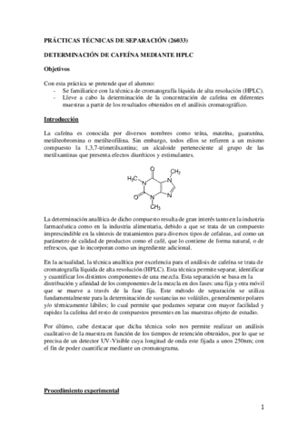 Tecnicas-P.pdf