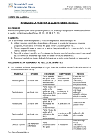 Practica-5.pdf