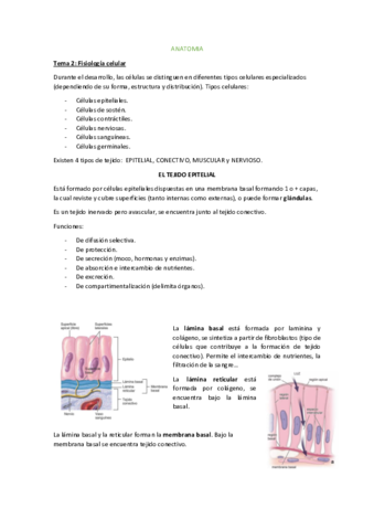 Tema-2.pdf