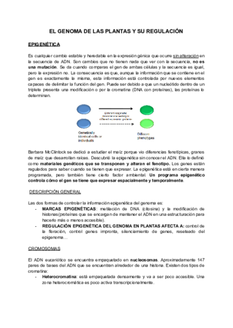 T3-EL GENOMA DE LAS PLANTAS Y SU REGULACIÓN.pdf