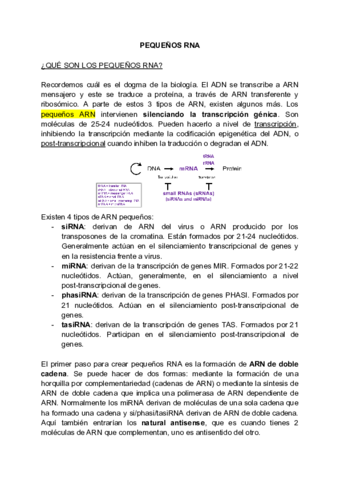 T3.1-PEQUENOS-RNA.pdf