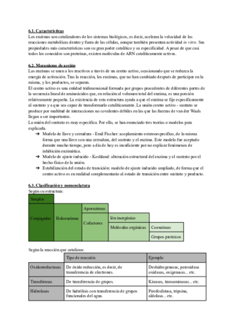 Enzimas.pdf