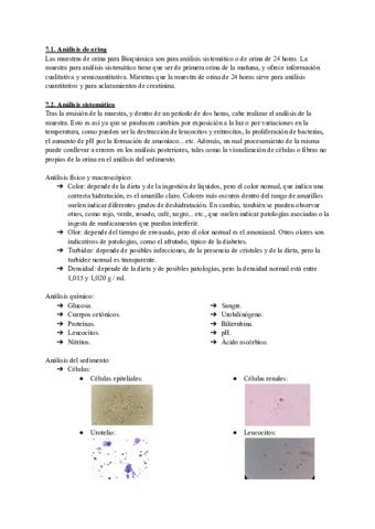 Orina.pdf
