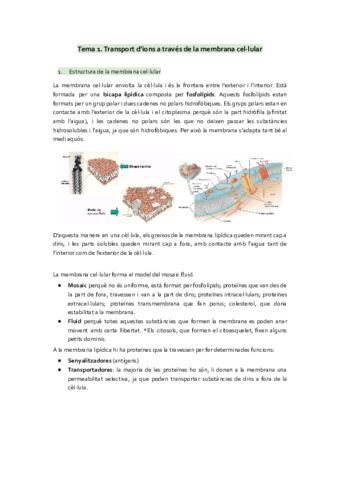 tot-fisiologia-FCH-I.pdf