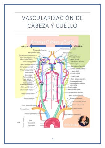 Vascularizacion-de-cabeza-y-cuello.pdf